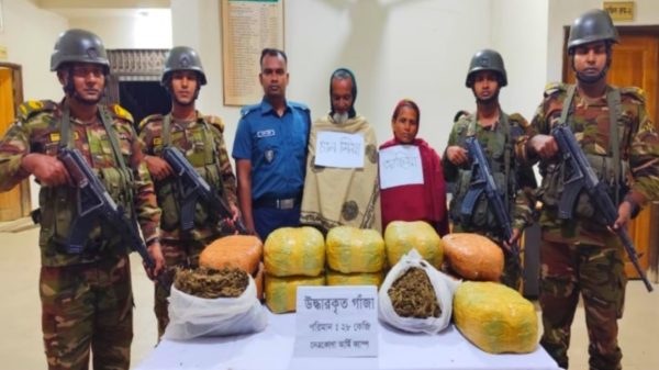 নেত্রকোনায় সেনাবাহিনীর অভিযানে ২৮ কেজি গাঁজাসহ দুইজন আটক