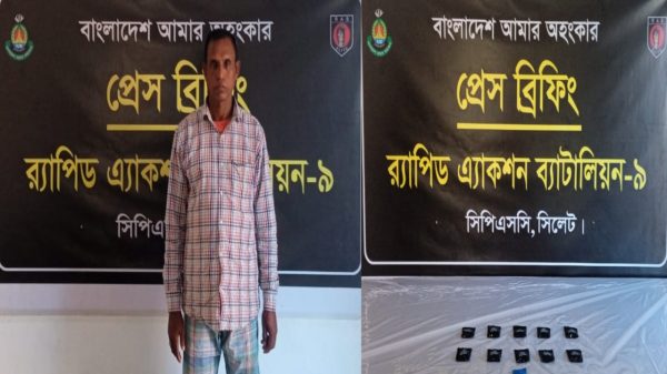 সিলেটের গোলাপগঞ্জে ২১৮২ পিস ইয়াবাসহ একজন গ্রেফতার
