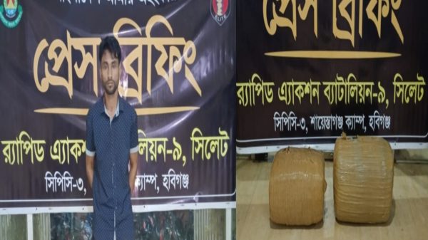 ৩৩ কেজি গাঁজাসহ মাধবপুর থেকে একজন গ্রেফতার করেছে র‌্যাব-৯