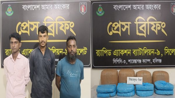শায়েস্তাগঞ্জে র‌্যাব-৯ এর অভিযান: ৩০ কেজি গাঁজাসহ ৩ জন গ্রেফতার